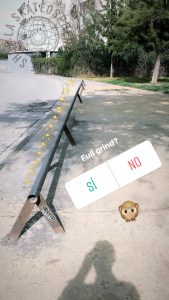 Yellow spot skate spot